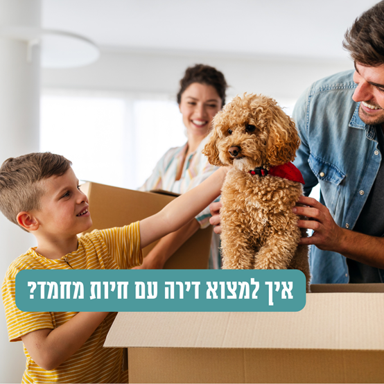תמונה12