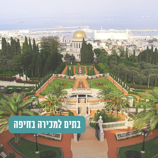 תמונה125