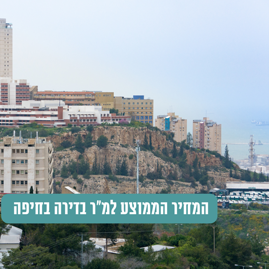 תמונה19