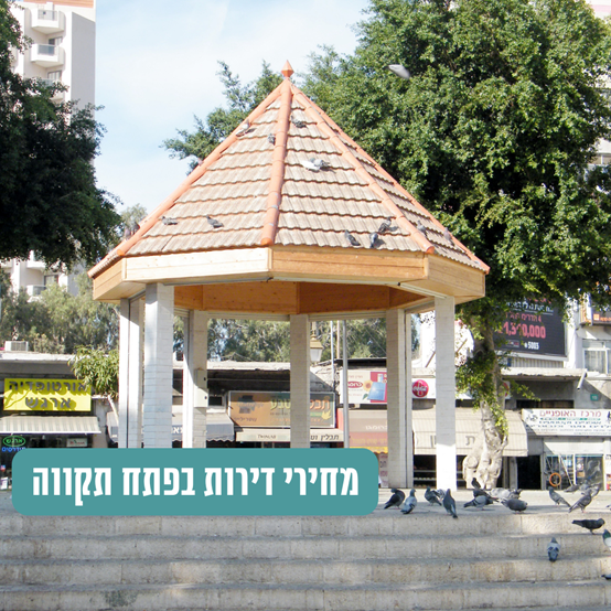 תמונה21