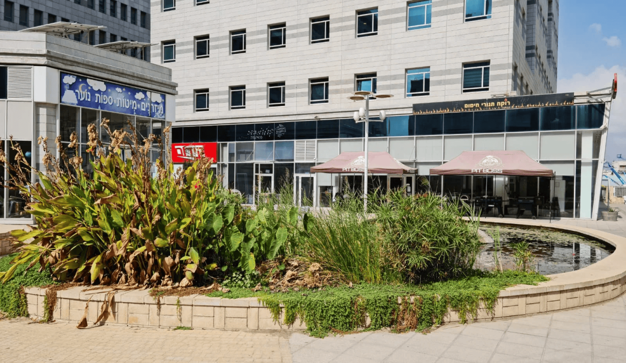 שמשון-1