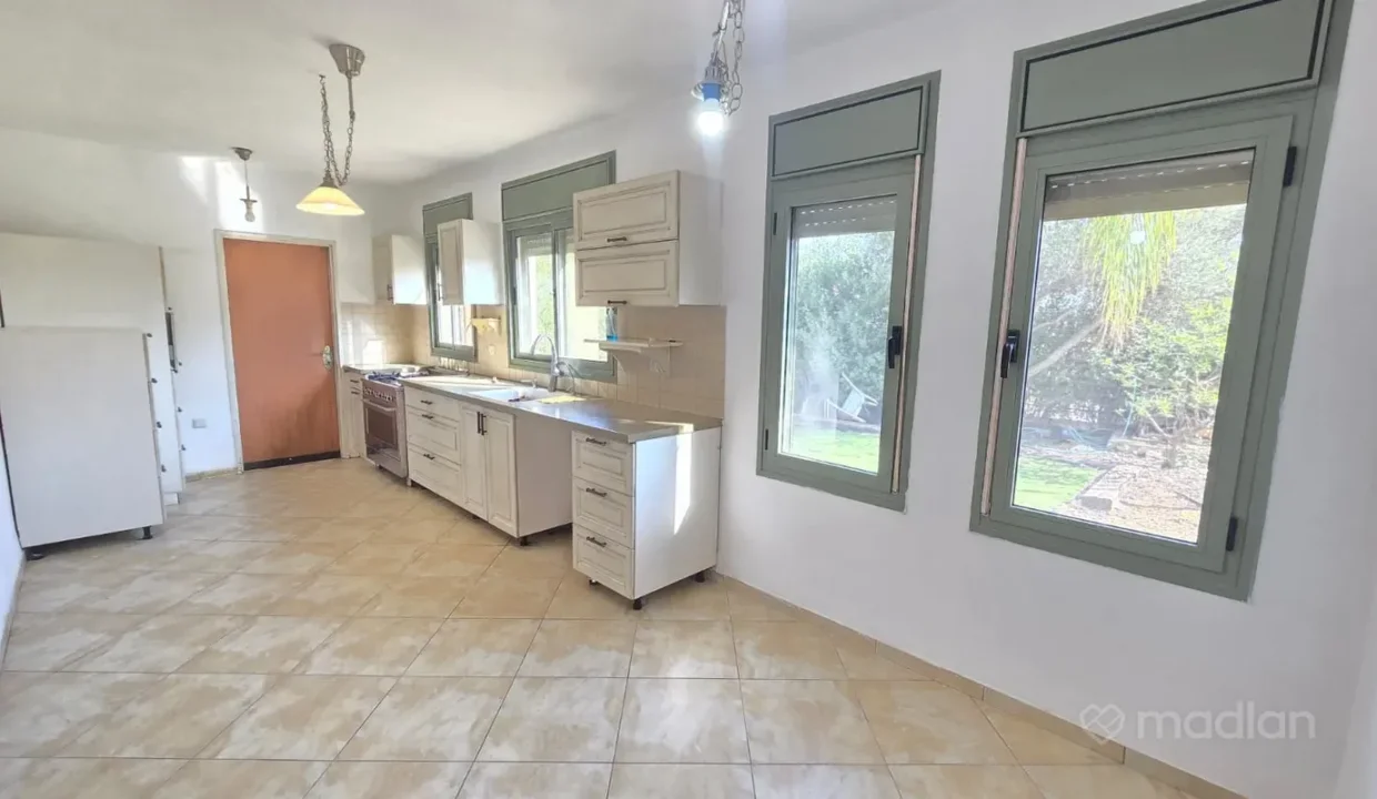 תמונה-03
