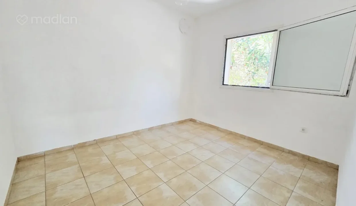 תמונה-05